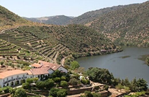 La vallée du Douro, berceau du porto, compte parmi les plus beaux et les plus anciens vignobles d’Europe. On y élabore du vin depuis deux...