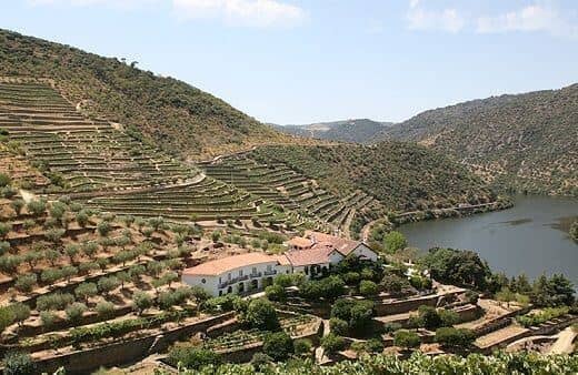 La Quinta de Vargellas ocupa un lugar de privilegio entre las propiedades vitivinícolas de la región del Douro.