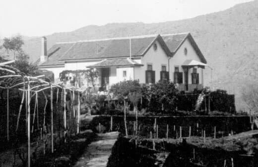 Les années 1880s marquent le début de la reconstitution des vignobles, annonçant le retour d’un négoce du porto prospère dès la fin du...