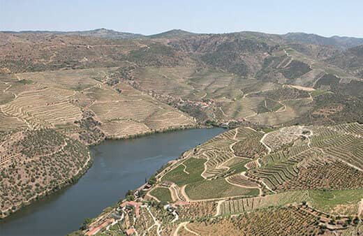 La Quinta de Vargellas ocupa un lugar de privilegio entre las propiedades vitivinícolas de la región del Douro.