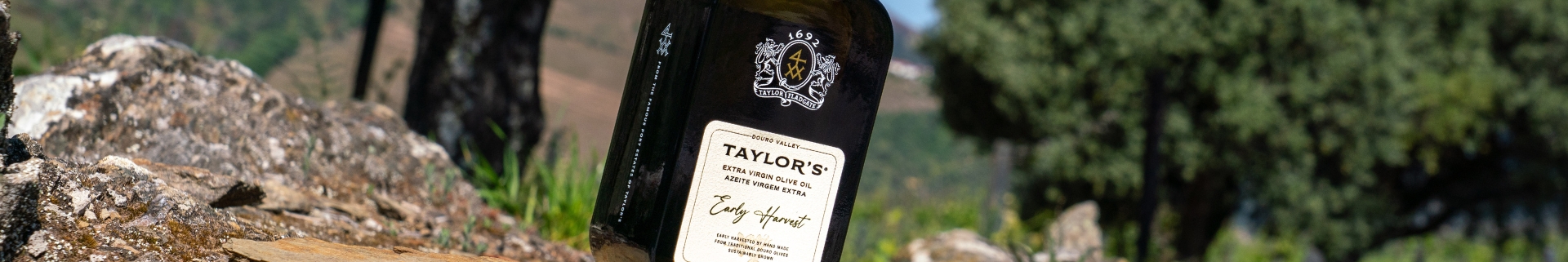 O Taylor’s Early Harvest Virgem Extra é feito a partir de azeitonas colhidas cedo nas nossas famosas propriedades do Douro, na Quinta...