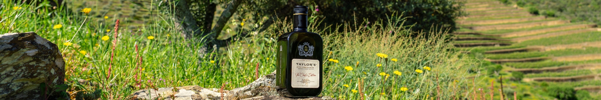 O Taylor’s Chef’s Edition é um azeite verdadeiramente extraordinário. Proveniente da Quinta de Vargellas, Quinta de Terra...