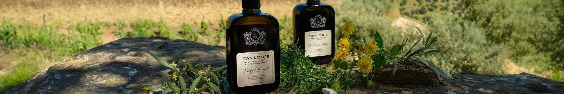 Elaborados con precisión y pasión, los aceites de oliva virgen extra Taylor's, Taylor's Chef's Edition y Taylor's...