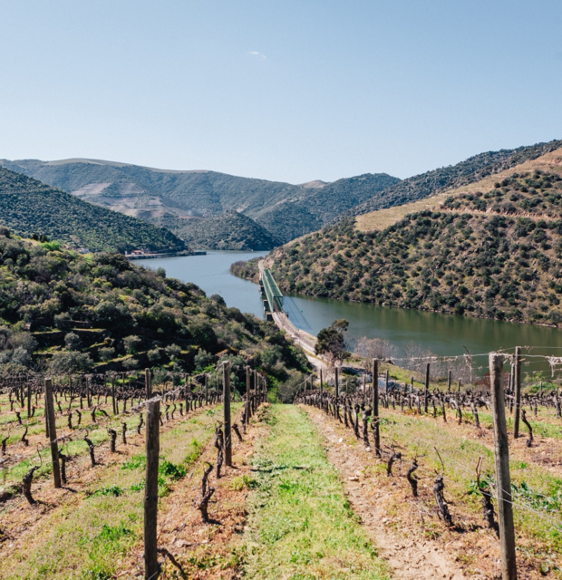 Quinta de Vargellas