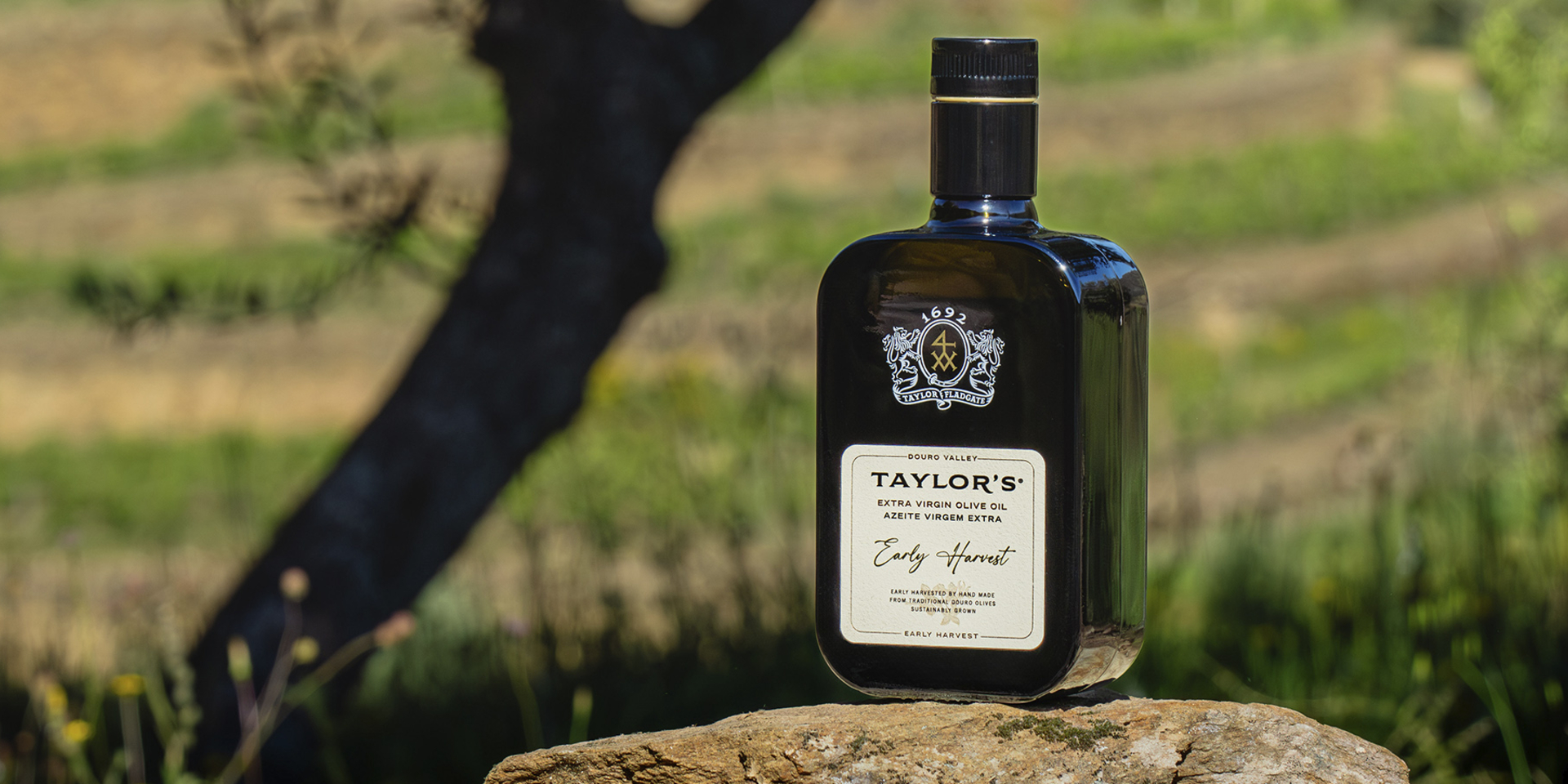 Taylor’s Early Harvest Extra Virgin Olive Oil is made from select, early harvest olives grown on our renowned Douro estates of Quinta de...