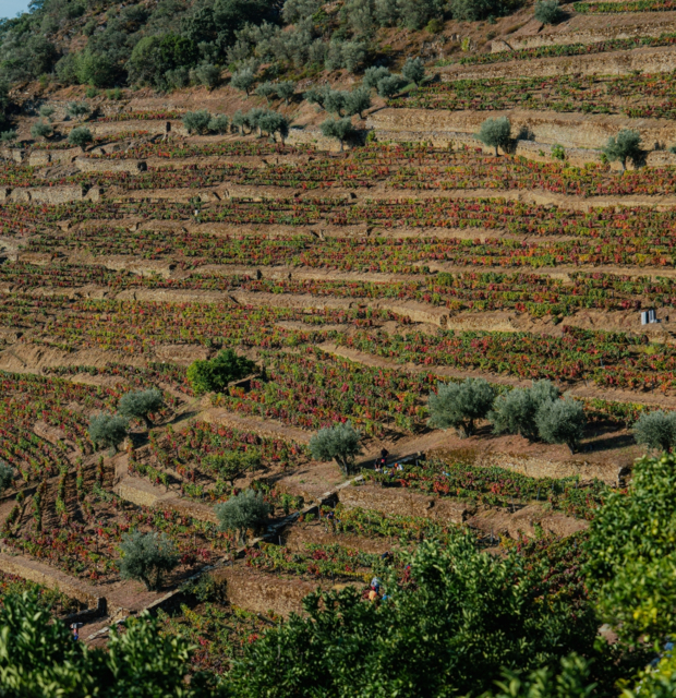 Quinta da Eira Velha