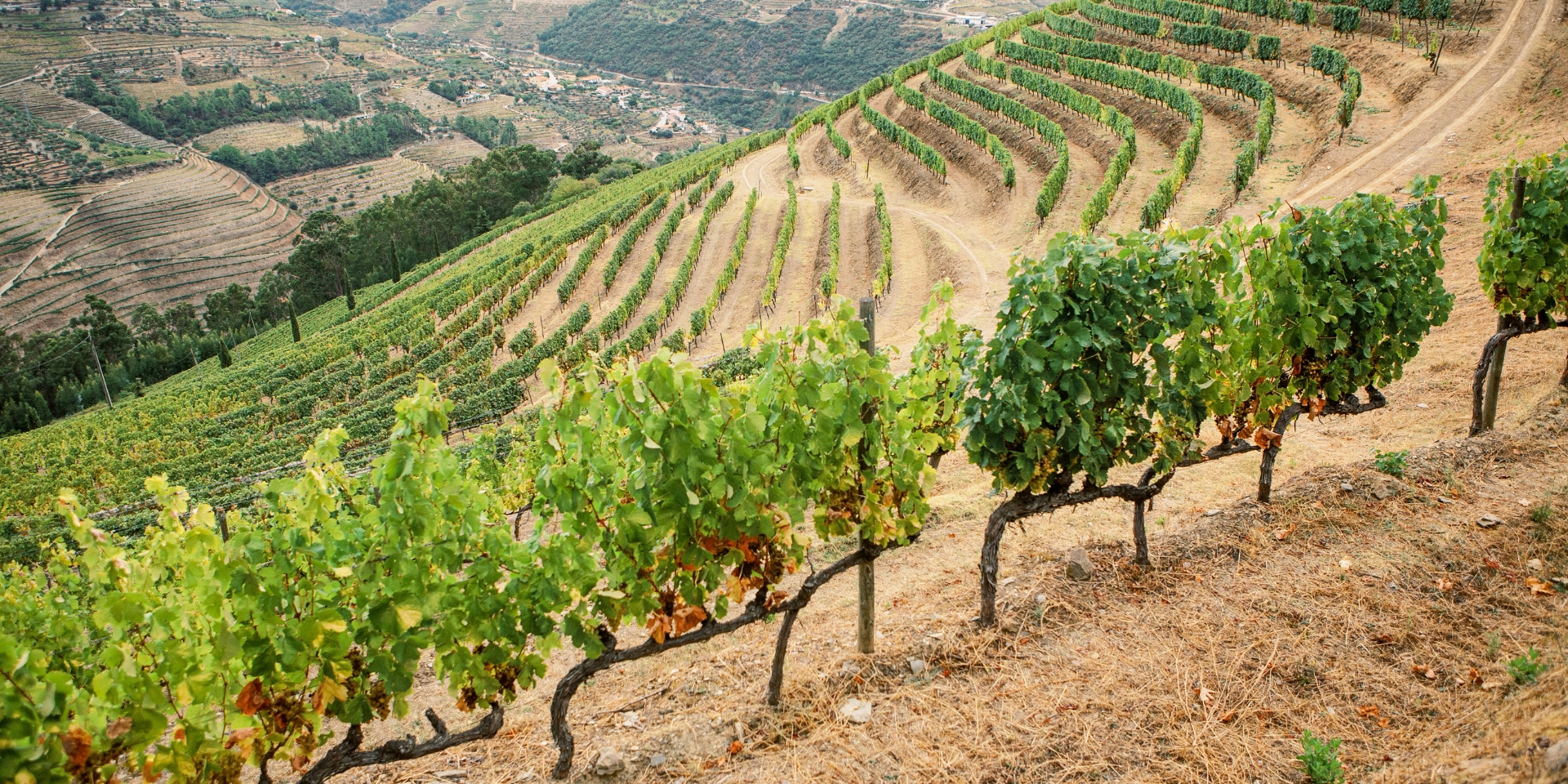 Quinta da Casa Nova, ubicada en Gouvães do Douro, es una finca histórica que forma parte de la primera demarcación de la...