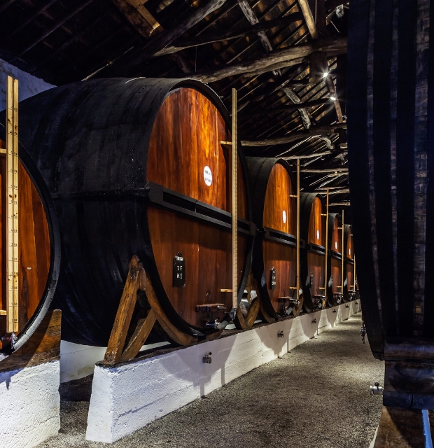 Lodges & Cellars