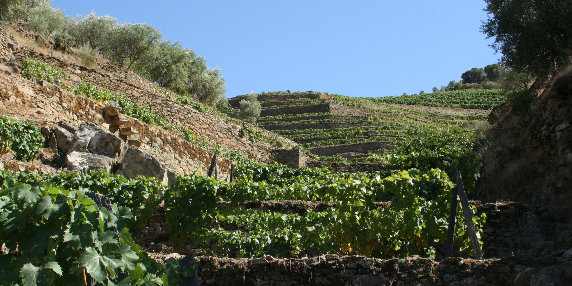 Les antiques terrasses murées de la ‘Vinha Velha’ (‘vieille vigne’) constituent la partie historique de Vargellas....