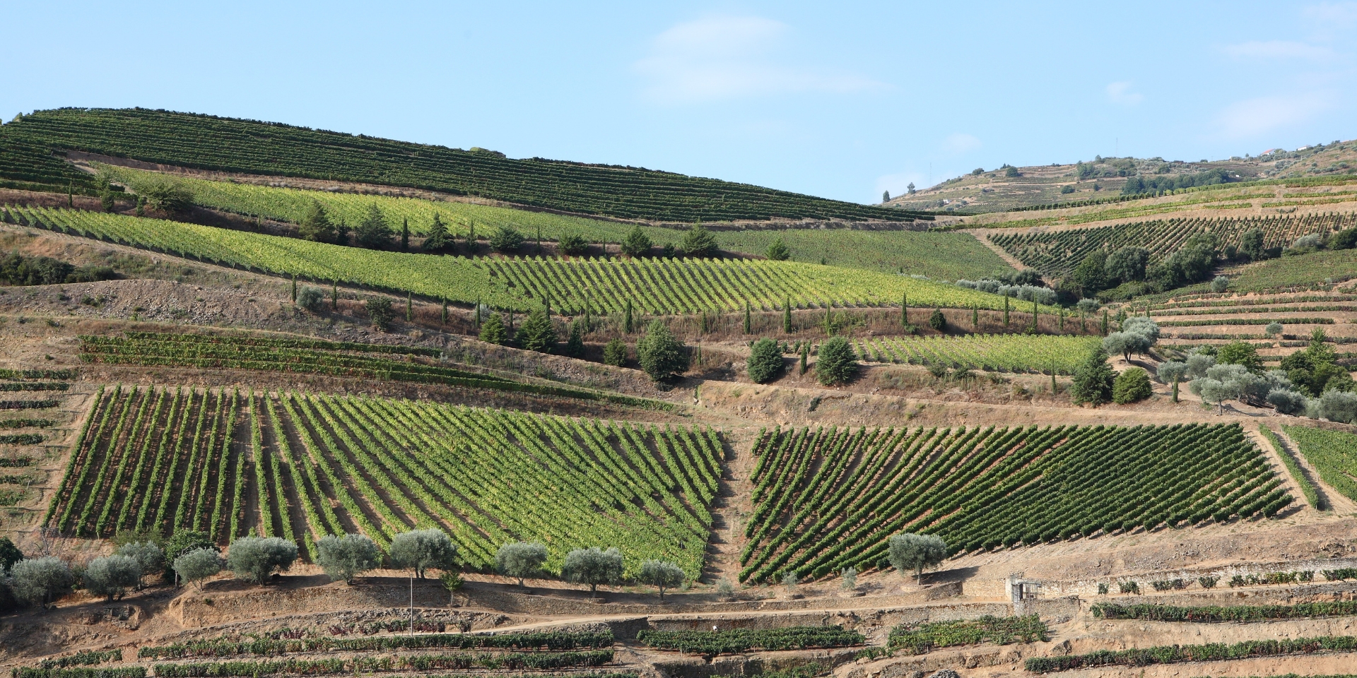 Ironically, the histories of many of the Pinhão Valley vineyards are  not  as  well  documented as those of the estates...