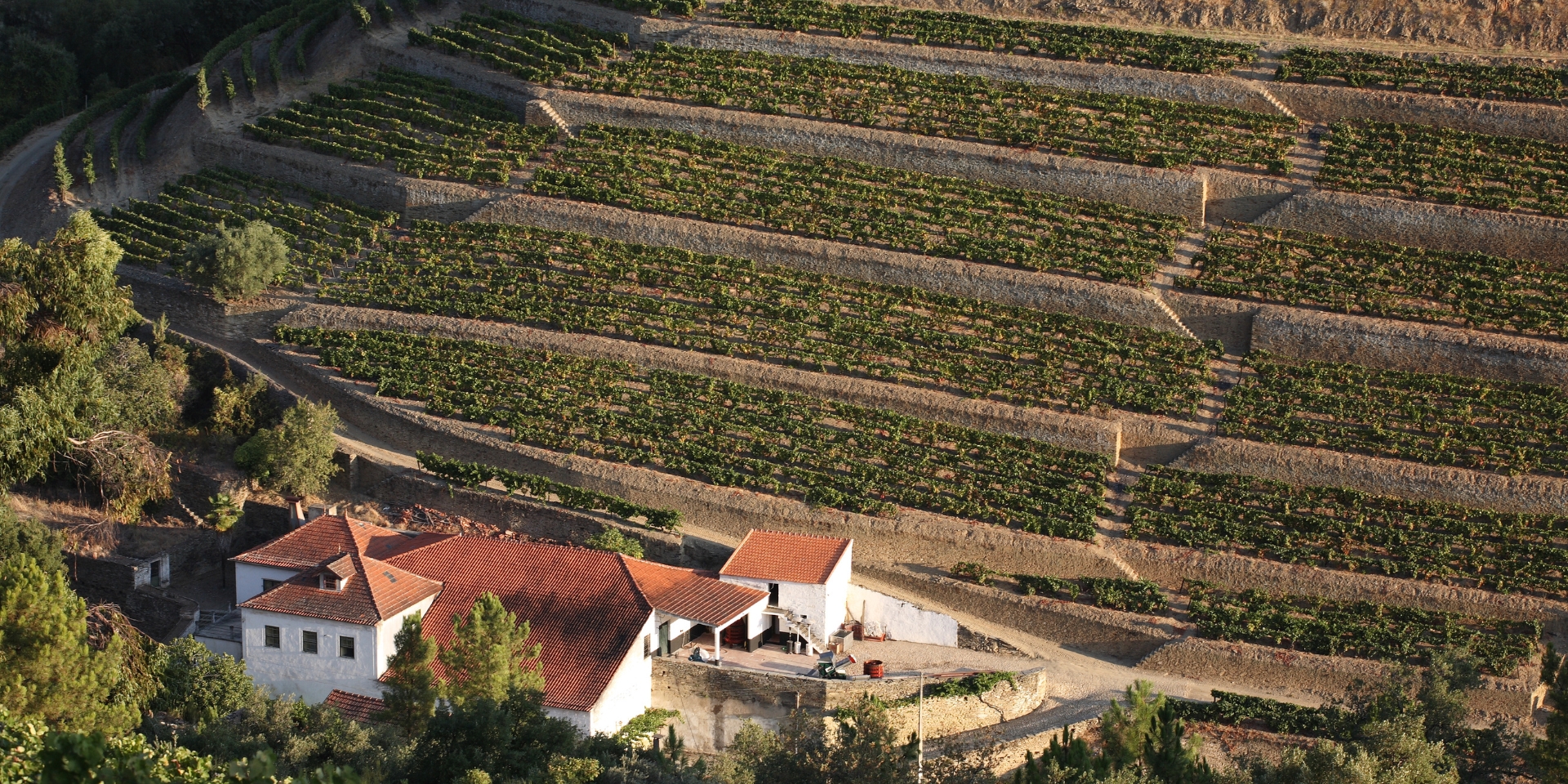 Le paysage viticole expose trois techniques d’aménagement pour aplanir le terrain et permettre aux vignes de s’accrocher aux...